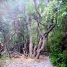 images/Schweden/Schweden 2009/IMG_4489.jpg